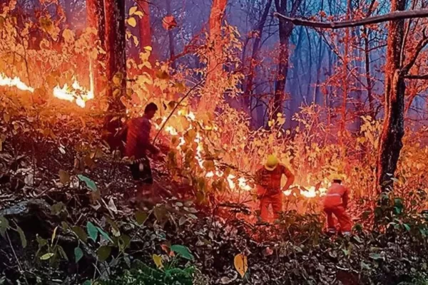 Uttrakhand forest fire.