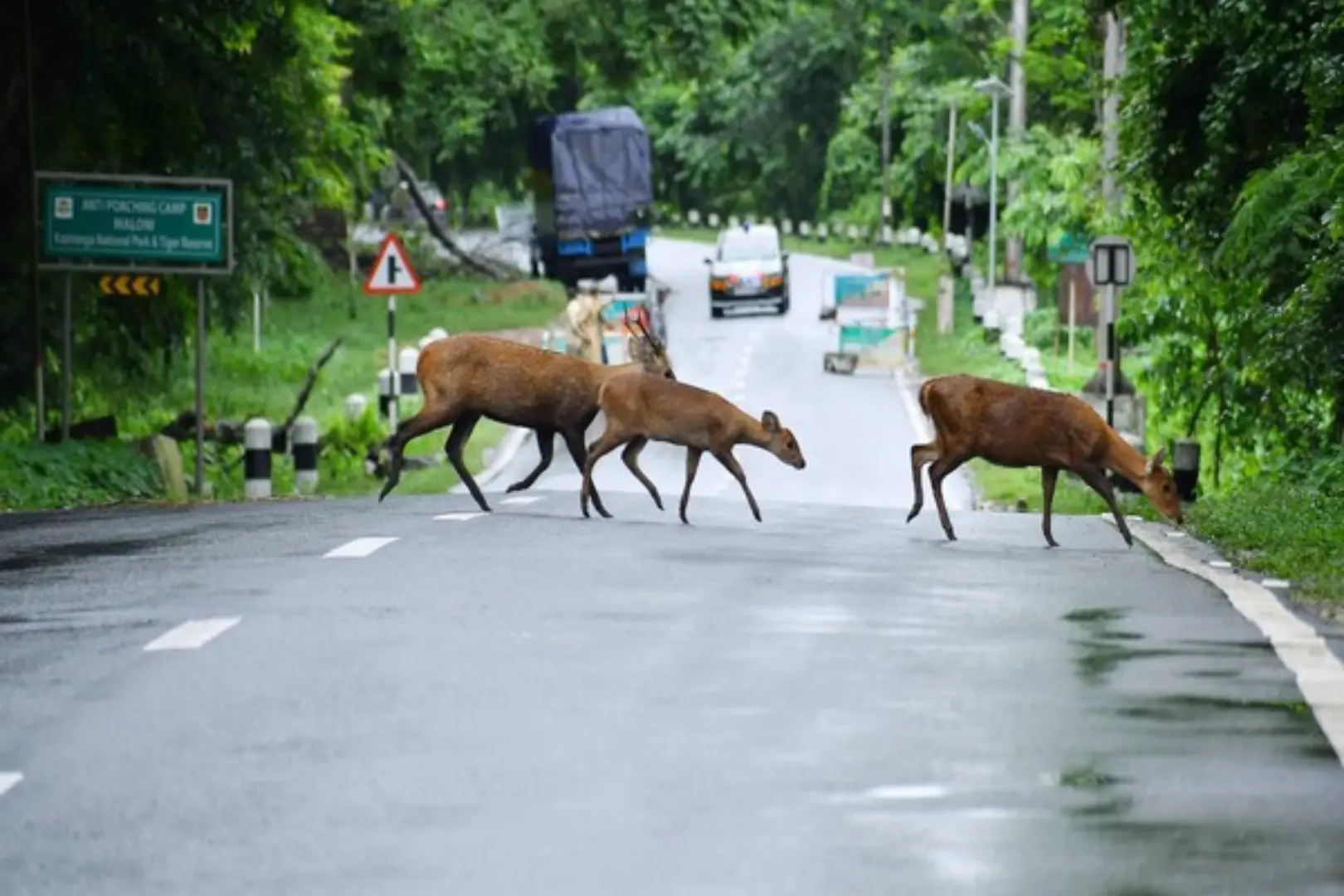 floods in assam