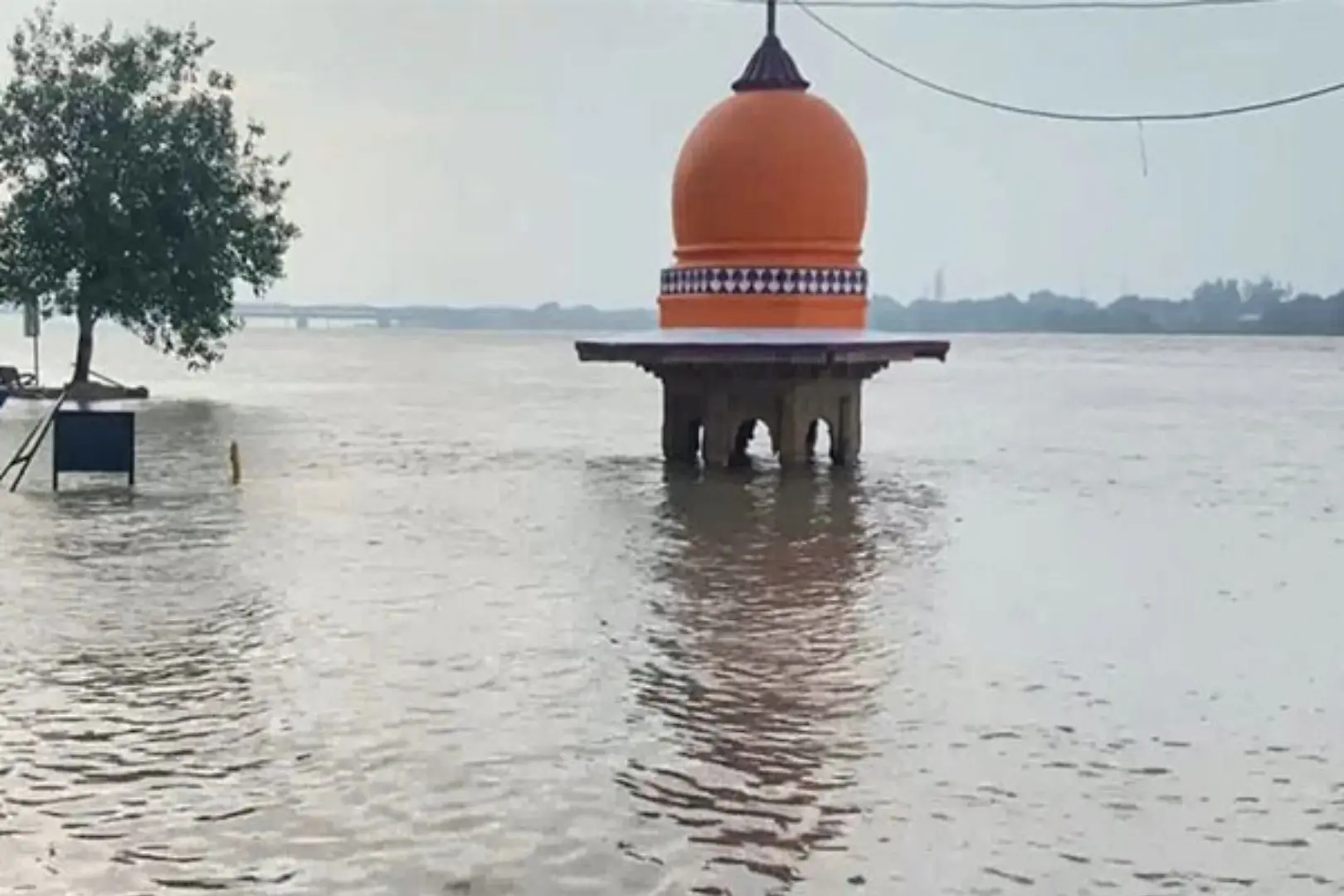 as the yamuna and ganga rivers' water levels drop, silt and algae are left behind.