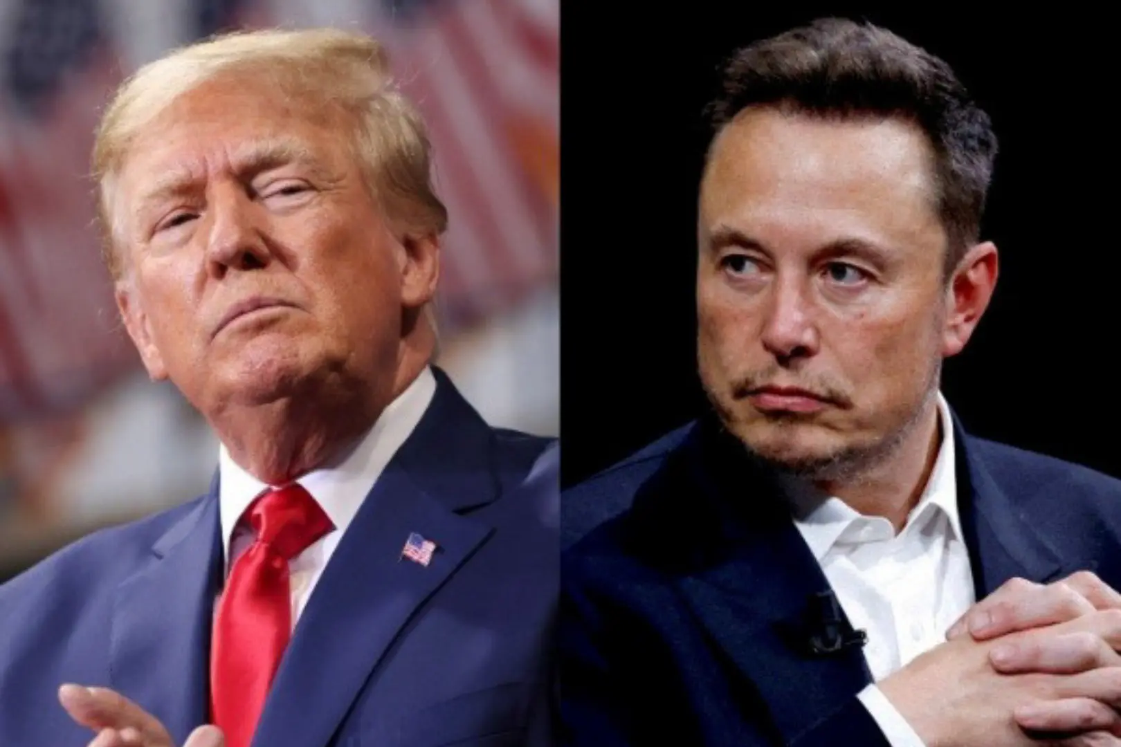 elon musk, donald trump