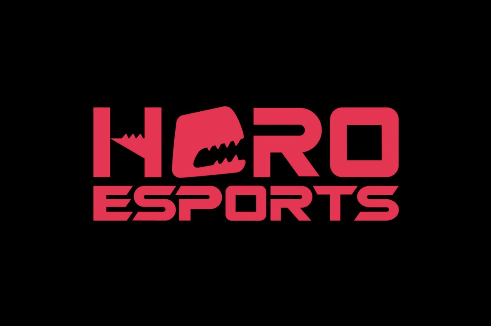 hero esports highlights global brand vision